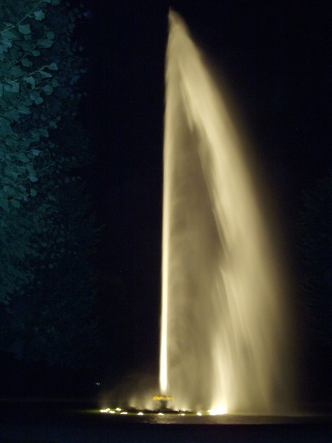 P1010098.JPG