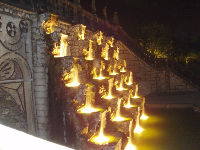 P1010135.JPG
