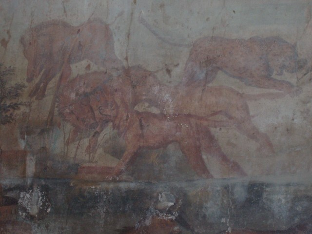 P1010191.JPG