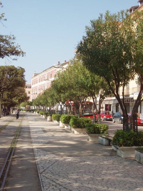 P1010218.JPG