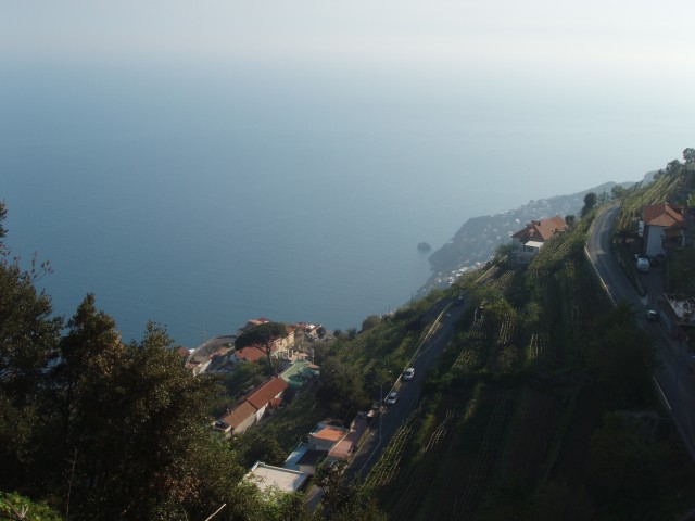 P1010220.JPG