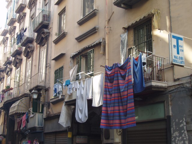 P1010336.JPG