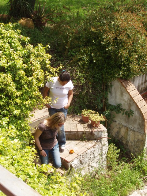 P1010360.JPG